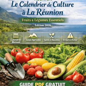Calendrier de Culture à La Réunion – Fruits & Légumes Essentiels (PDF Gratuit 2026)